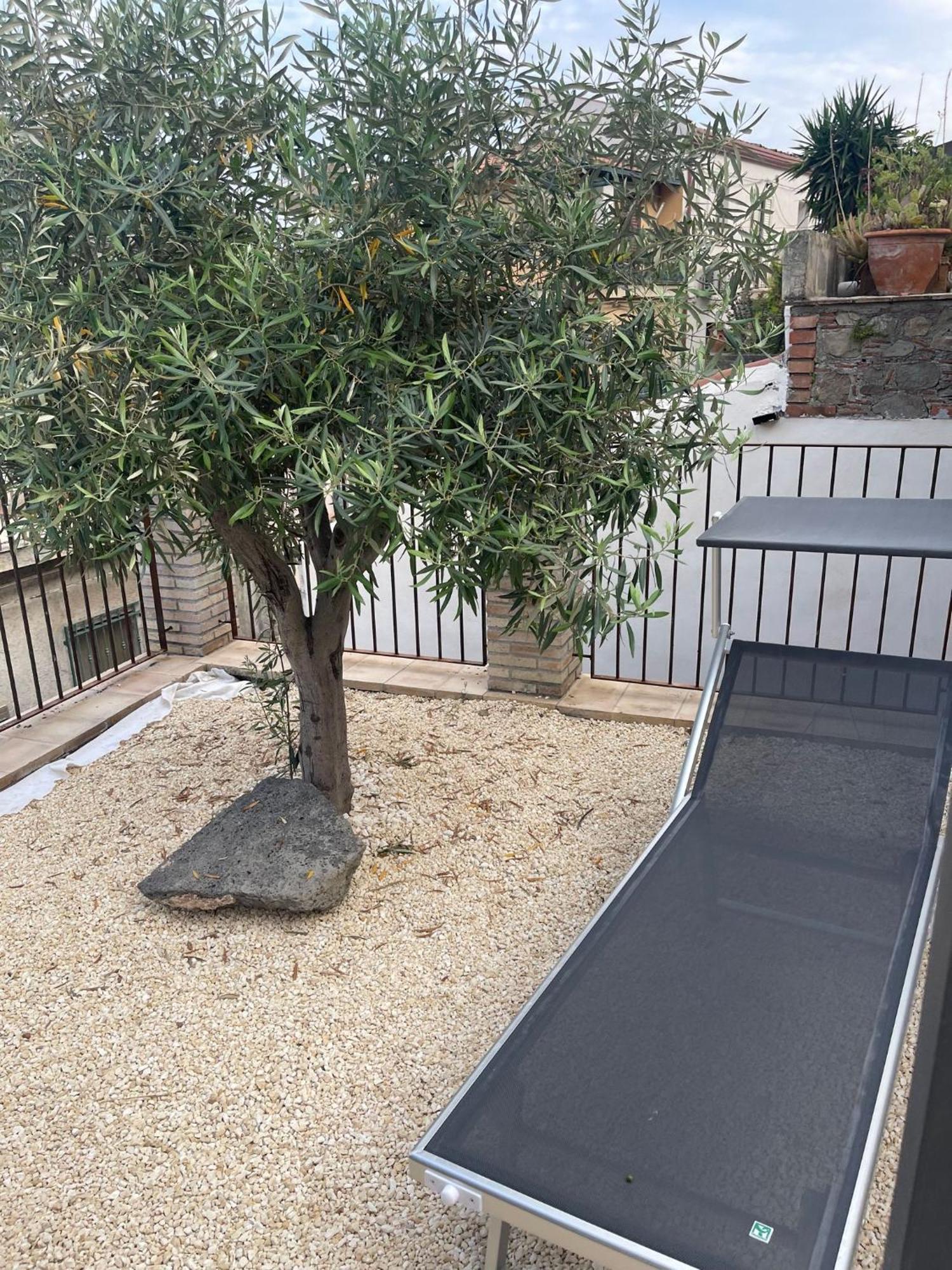 Bed And Relax-Il Maniero Bed and Breakfast Calatabiano Εξωτερικό φωτογραφία